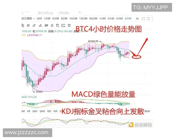 2025年帕尼尼球星卡市场行情解析及最新价格走势分析