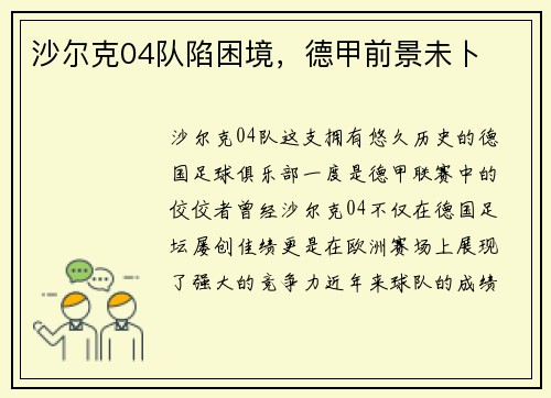 沙尔克04队陷困境，德甲前景未卜